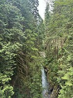 IMG_5554