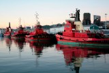 haven van wellington