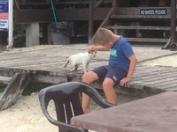 Bye Kitty