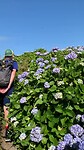 Wandelen bovenop de Caldeira