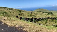 Uitzicht op Faial