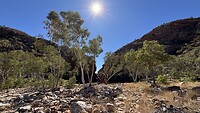 IMG_2225