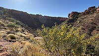 IMG_2303