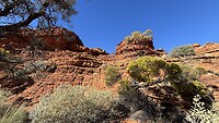 IMG_2312