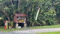 IMG_2988