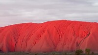 IMG_2558