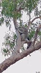 IMG_3119