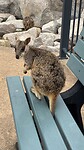 IMG_3238
