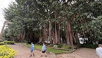 IMG_3281