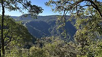IMG_3318