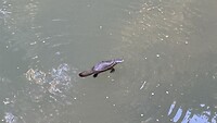 IMG_3342