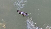 IMG_3372