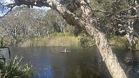 IMG_3575