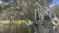 IMG_3581
