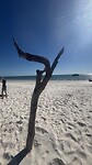 IMG_3635