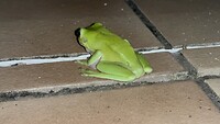 IMG_3706