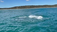 IMG_3611