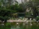 KOWLOON PARK