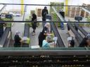 verpakken van de kiwi s  voor export