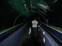 de onderwatertunnel
