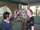 Featherdale Wildlife Park