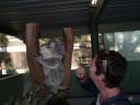 Featherdale Wildlife Park