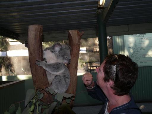 Featherdale Wildlife Park