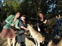 Featherdale Wildlife Park