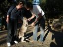 Featherdale Wildlife Park