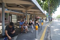 DSC05244