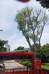 DSC05258