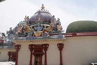 DSC05431