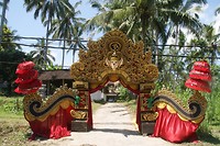 DSC07117