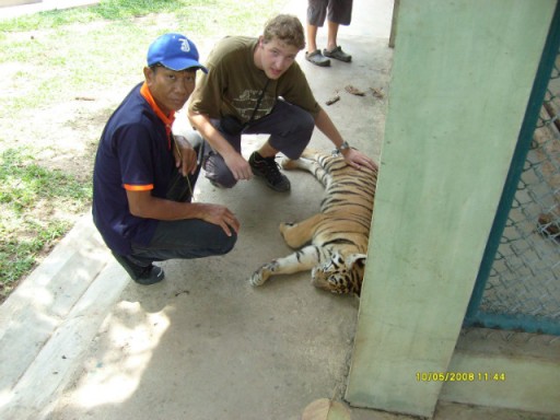 Asia 2008