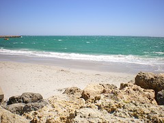 IMGP0035