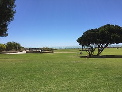 IMG_4898