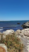 IMG_4901