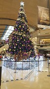IMG_4906