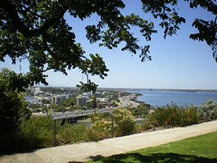 IMGP0066