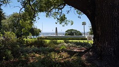 IMG_4942