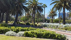 IMG_4929