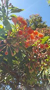 IMG_4959