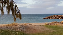 IMG_4969