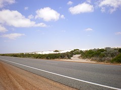 IMGP0103