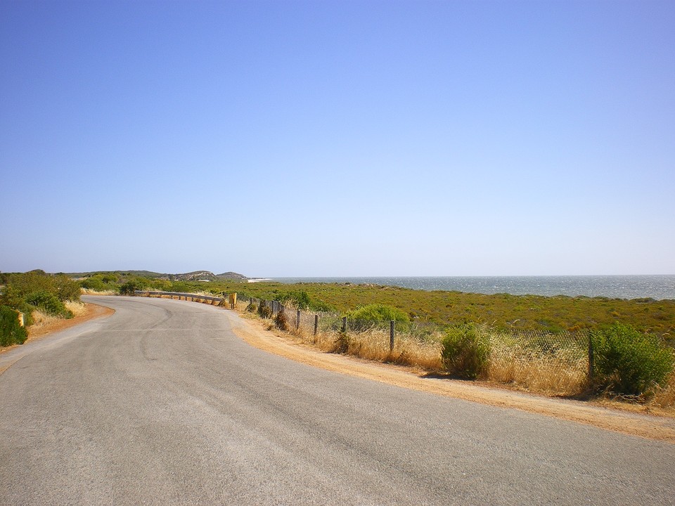 IMGP0123_2