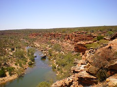 IMGP0142