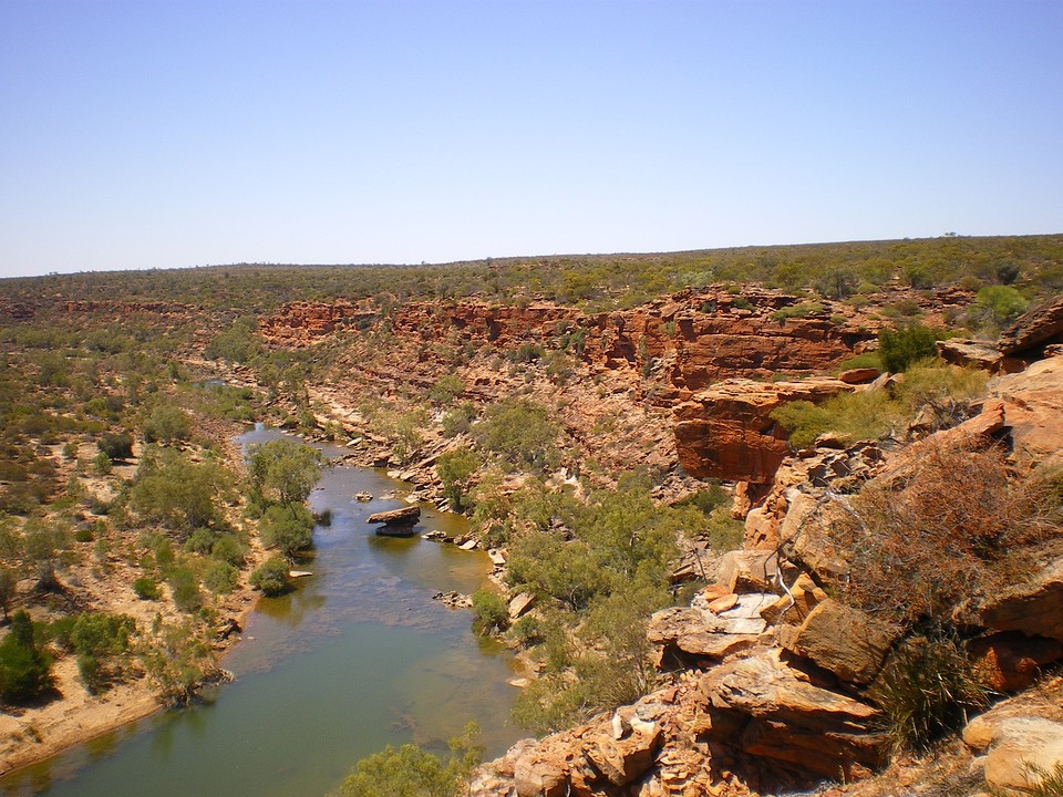 IMGP0142