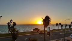 IMG_5010