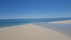 IMG_5026