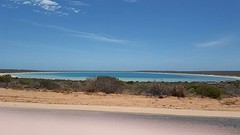 IMG_5030